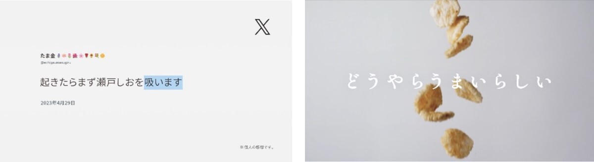 どうやらうまいらしい「吸い」篇