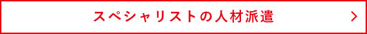 スペシャリストの人材派遣